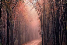 九游中国-大连实德客场战平广州富力，保持不败纪录