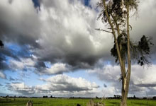 九游体育-阿尔希拉尔防守细节优化，力求稳固后防