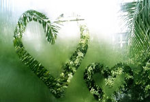 九游游戏-东瀛武士的远征：J联赛血脉如何铸就蓝武士世界杯荣光