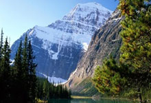 九游游戏-东瀛武士的远征：J联赛血脉如何铸就蓝武士世界杯荣光