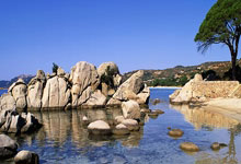 九游中国-大连实德客场战平广州富力，保持不败纪录