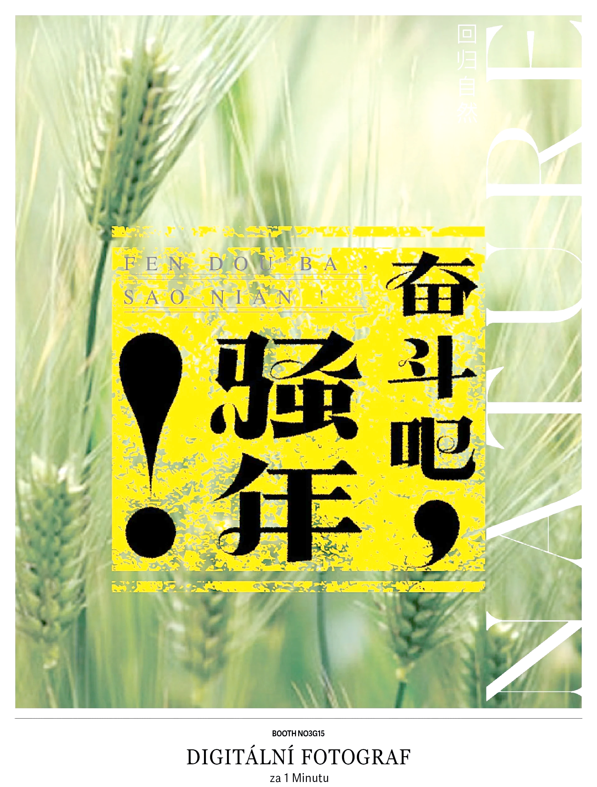 关于坚韧意志：球队面对逆境尽展顽强拼搏精神的信息