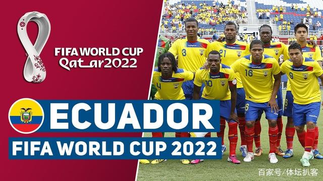 关于厄瓜多尔战胜意大利，形势一落千丈的信息