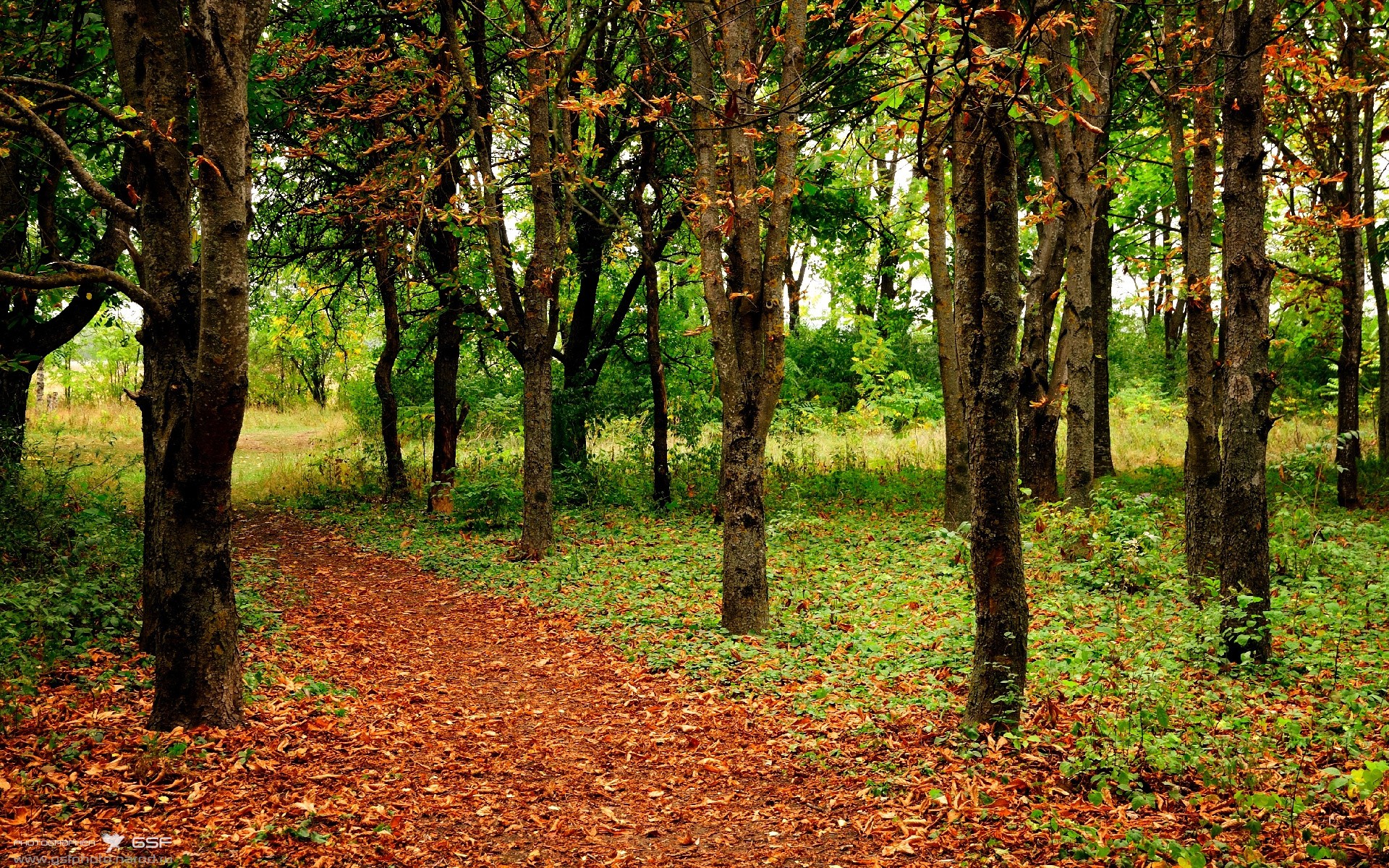 九游中国-欧冠决赛焦点战，伊拉克逆转韩国的足球史诗