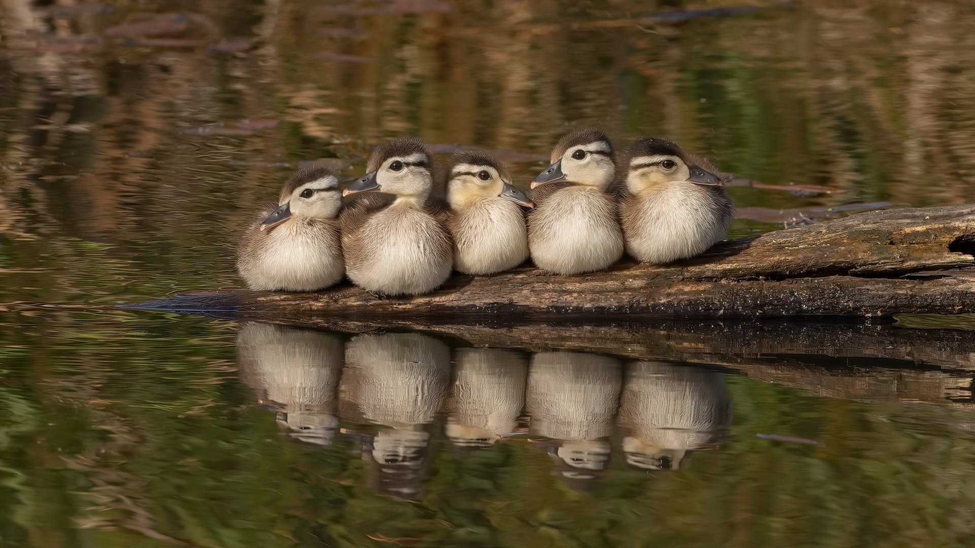 九游娱乐官方-鏖战与孤星，当广东险胜广厦，利拉德在巴黎周期的号角已然吹响