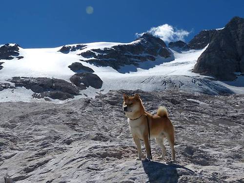 从NBA到世界之巅，勇士完胜尼克斯，霍勒迪2026世界杯蓄势待发